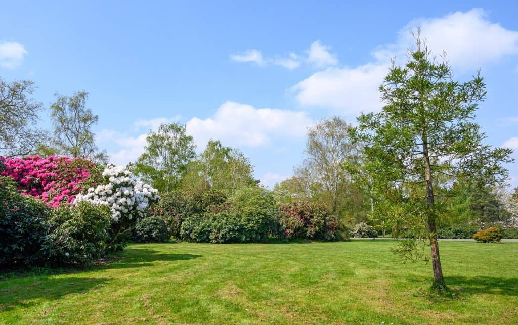 Hervines Park