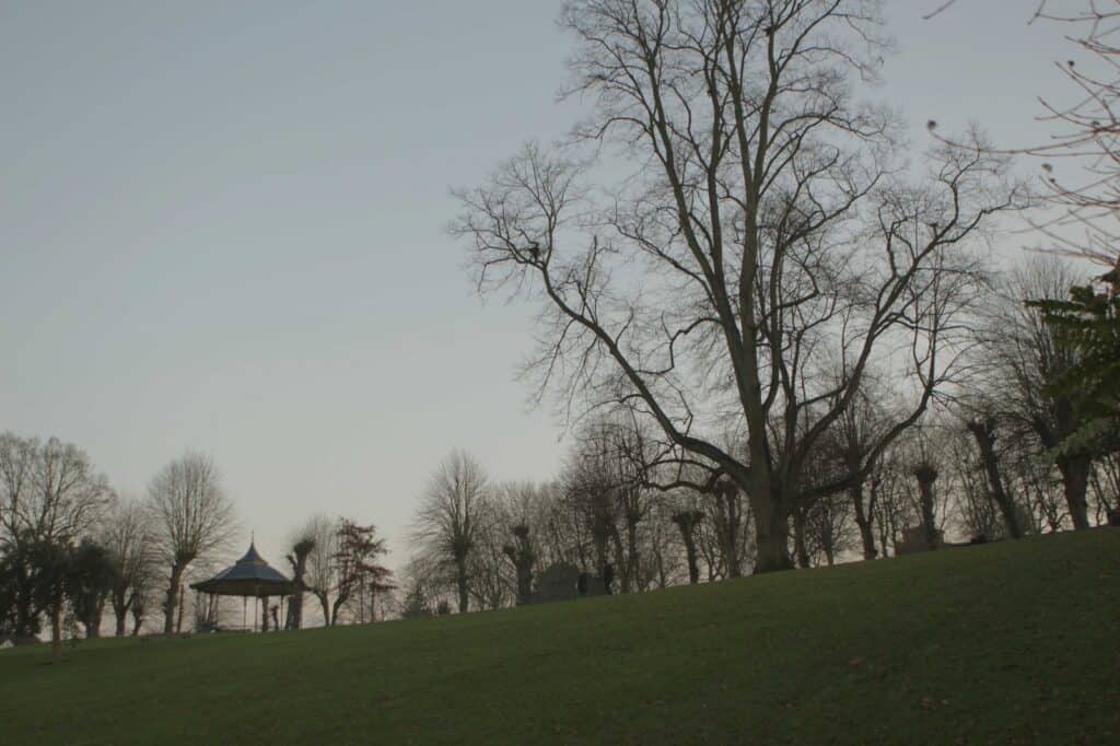 Highwoods Country Park