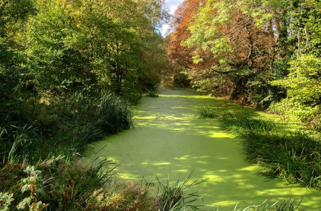 Hinchingbrooke Country Park