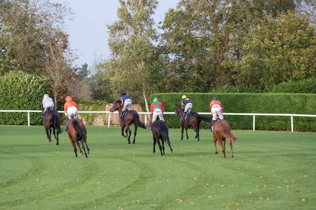 Hipódromo de Windsor