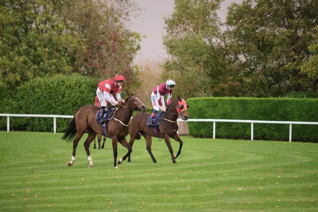 Hipódromo de Windsor