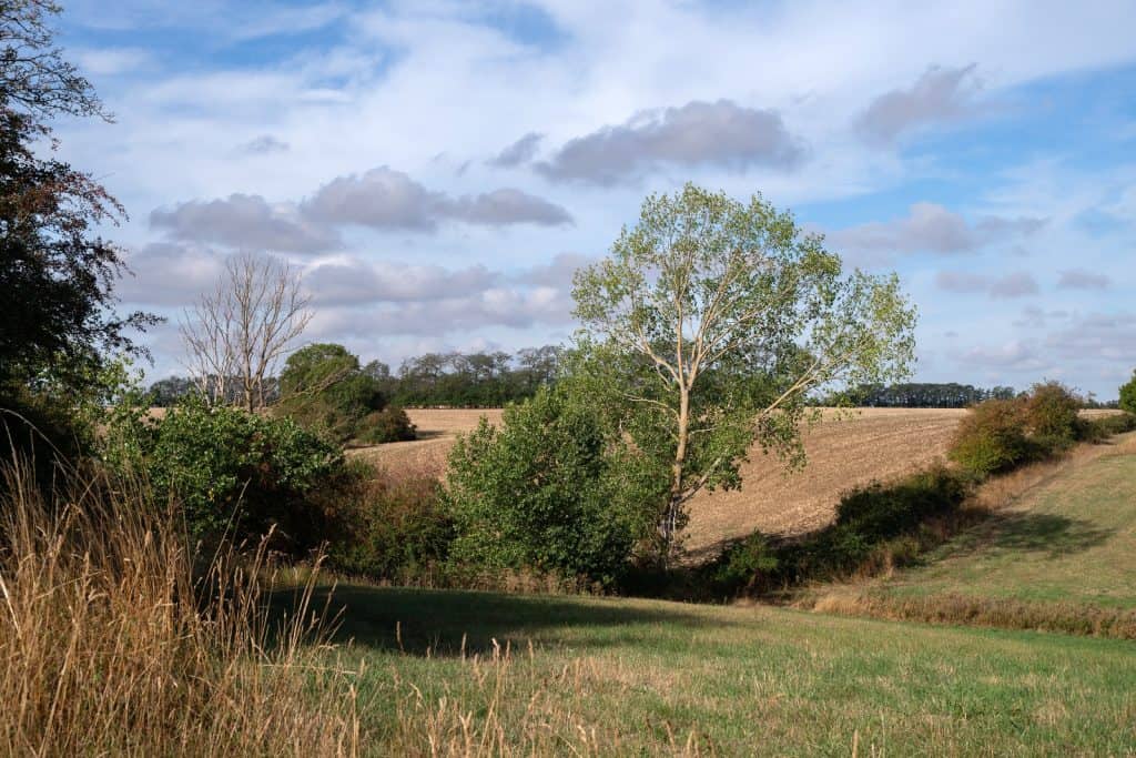 Huntingdon