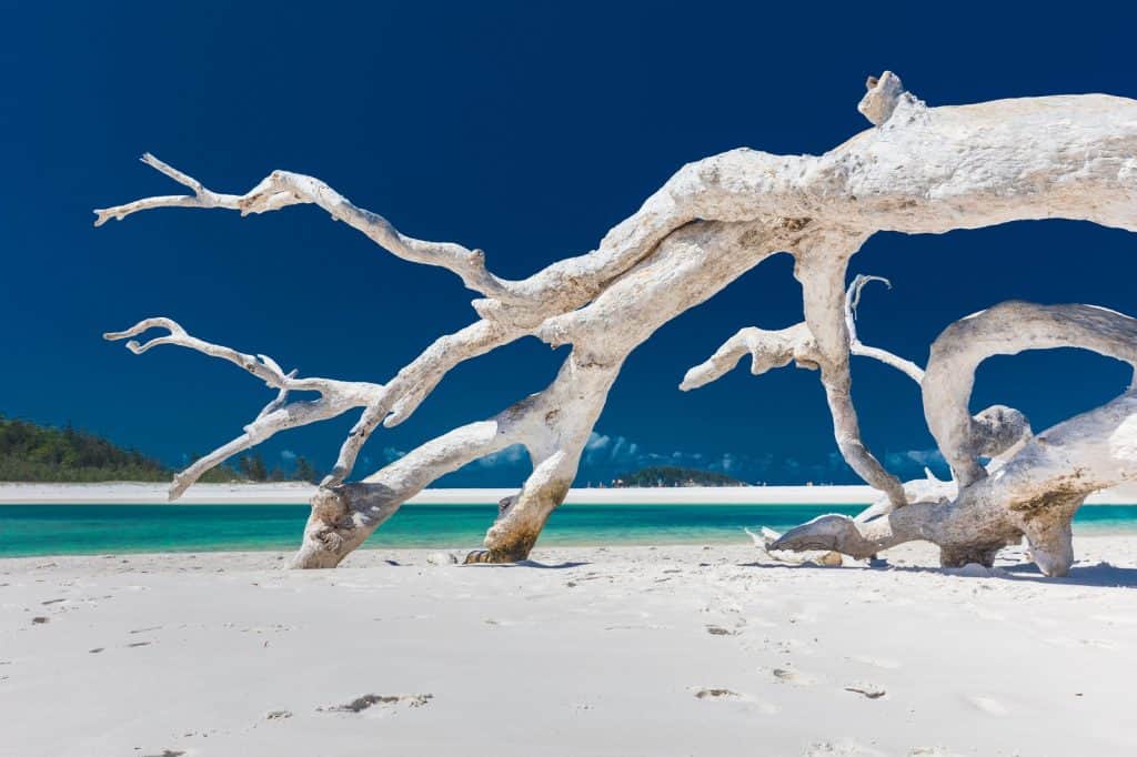 Islas Whitsunday
