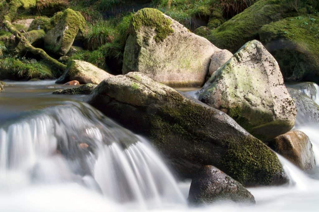 Ivybridge
