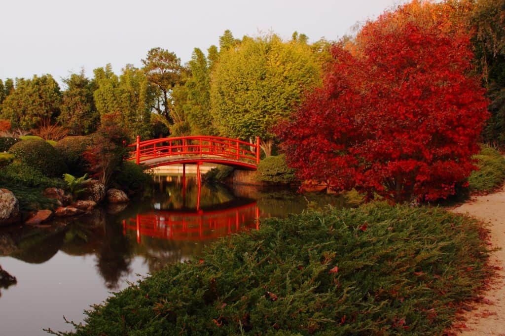 Jardín Japonés