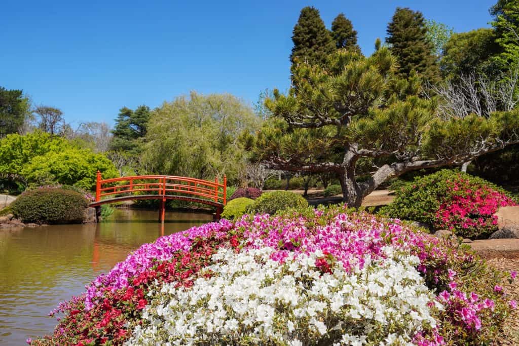 Jardín Japonés