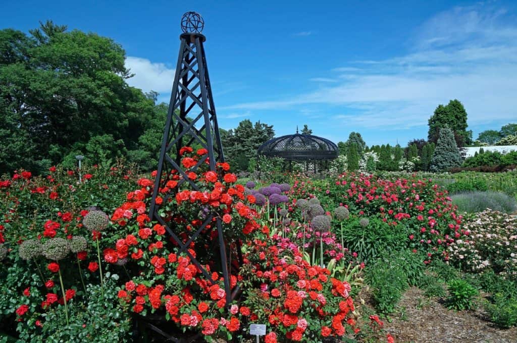 Jardín Botánico Real, Hamilton