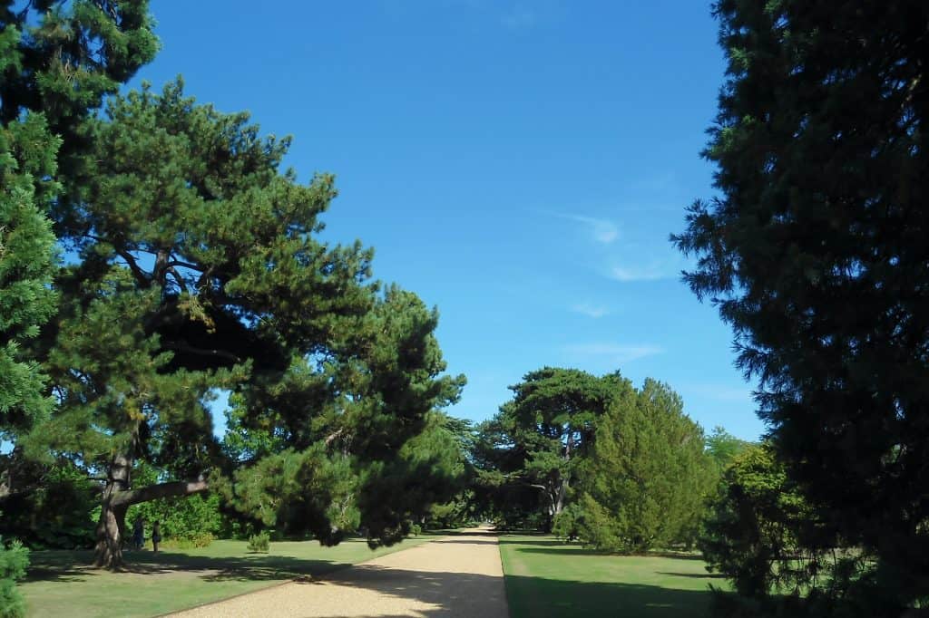Jardines botánicos de la Universidad de Cambridge