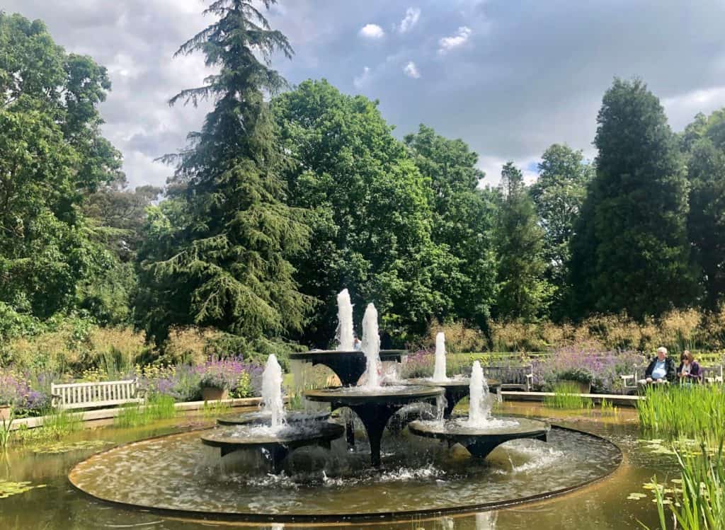 Jardines botánicos de la Universidad de Cambridge