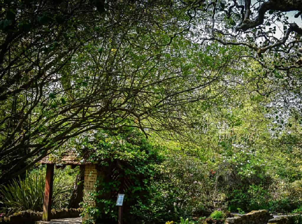 Jardín Botánico de la Universidad de Durham