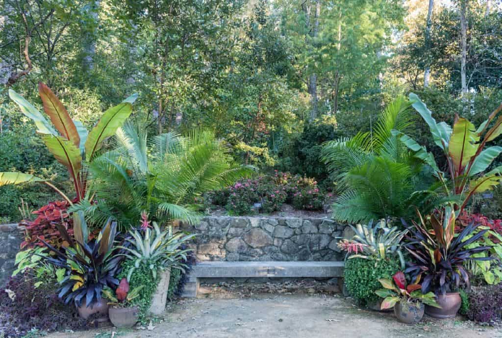 Jardín Botánico de la Universidad de Durham