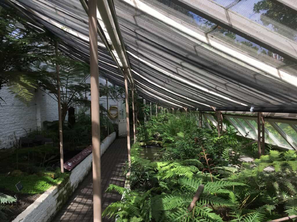 Jardín Físico de Chelsea