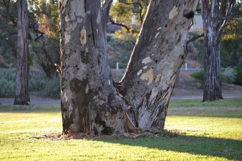 Junction Park