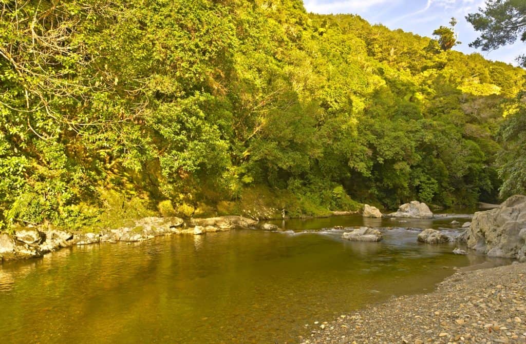 Kaitoke Regional Park