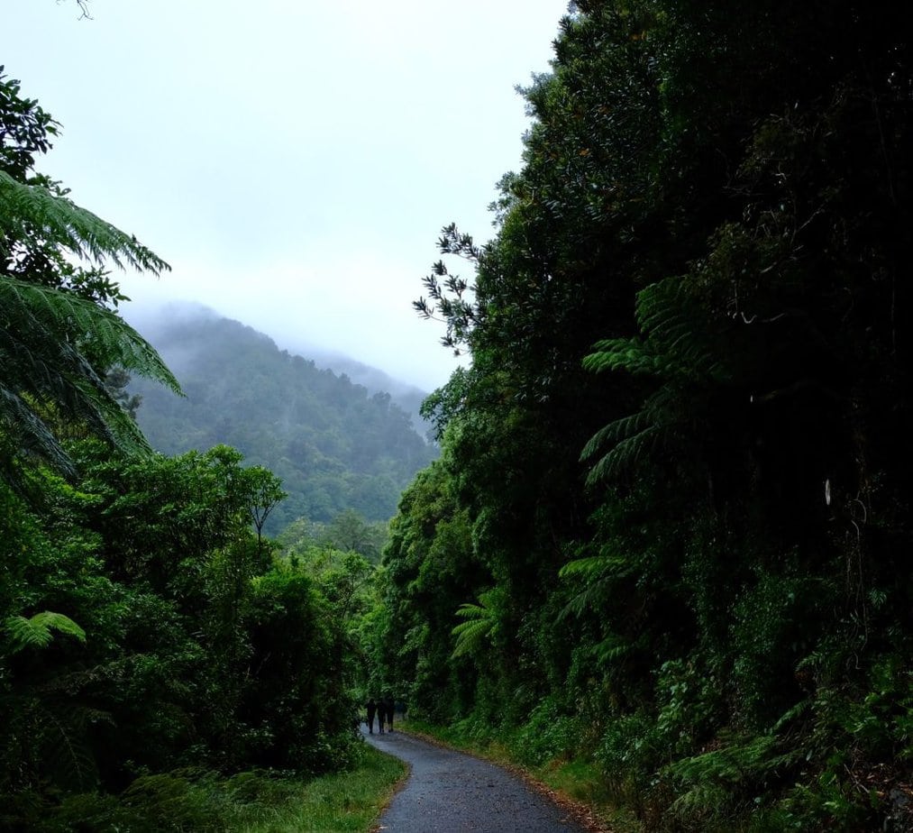 Kaitoke Regional Park
