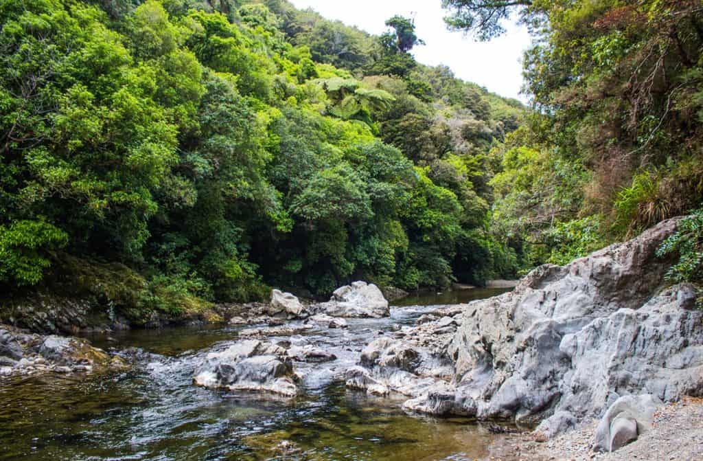 Kaitoke Regional Park