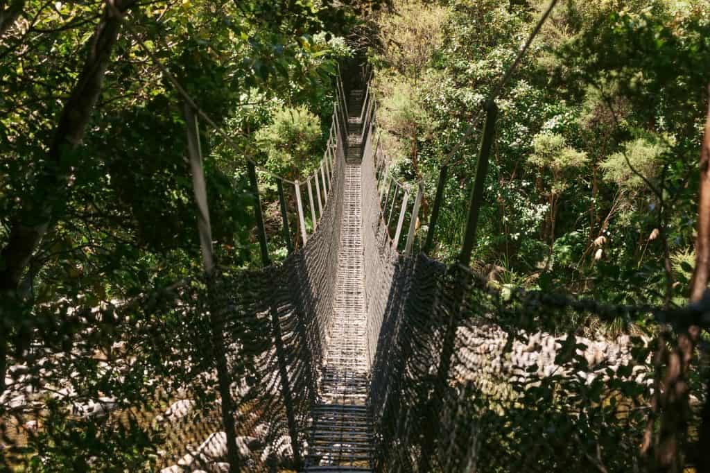 Kauaeranga