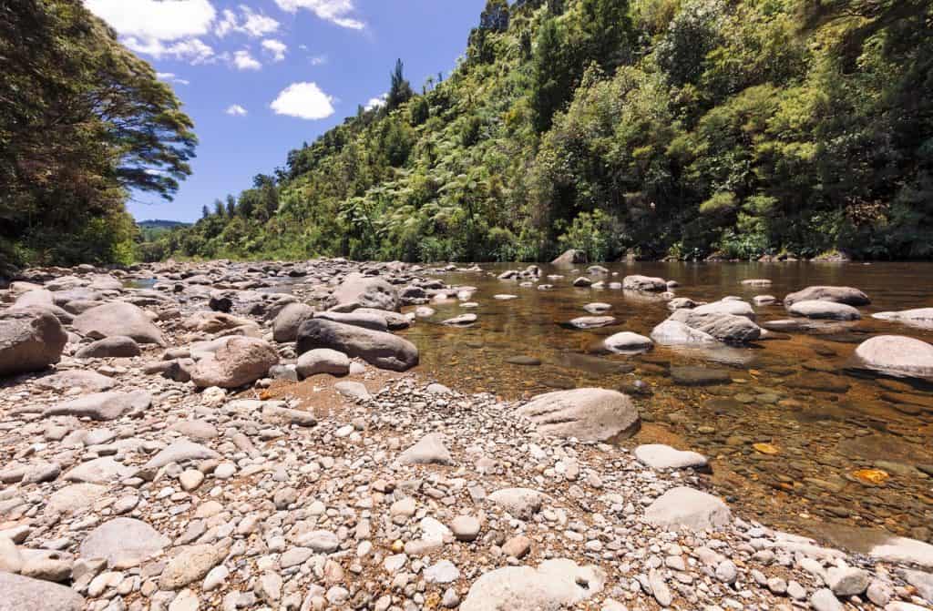 Kauaeranga