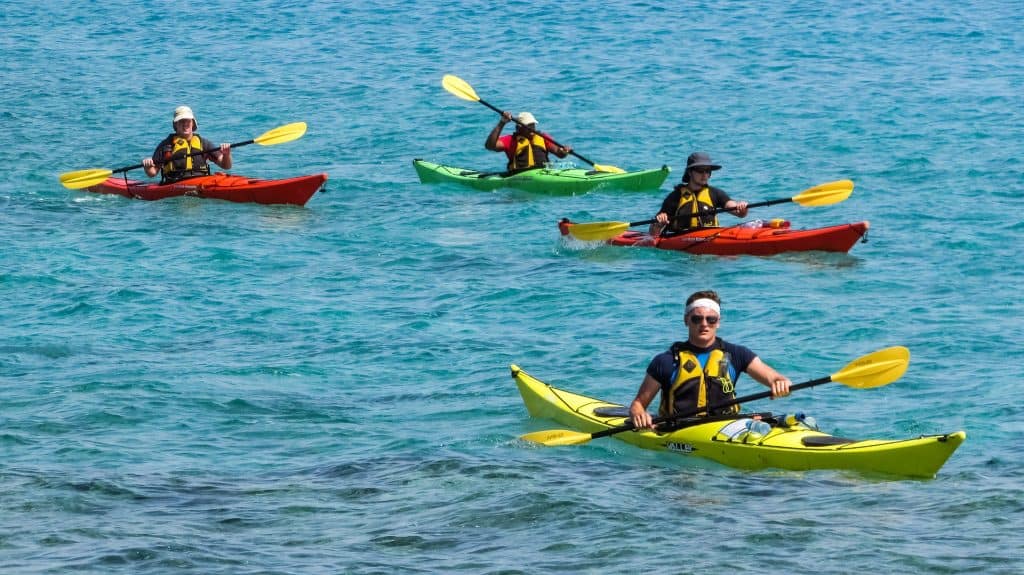 Kayak Sídney
