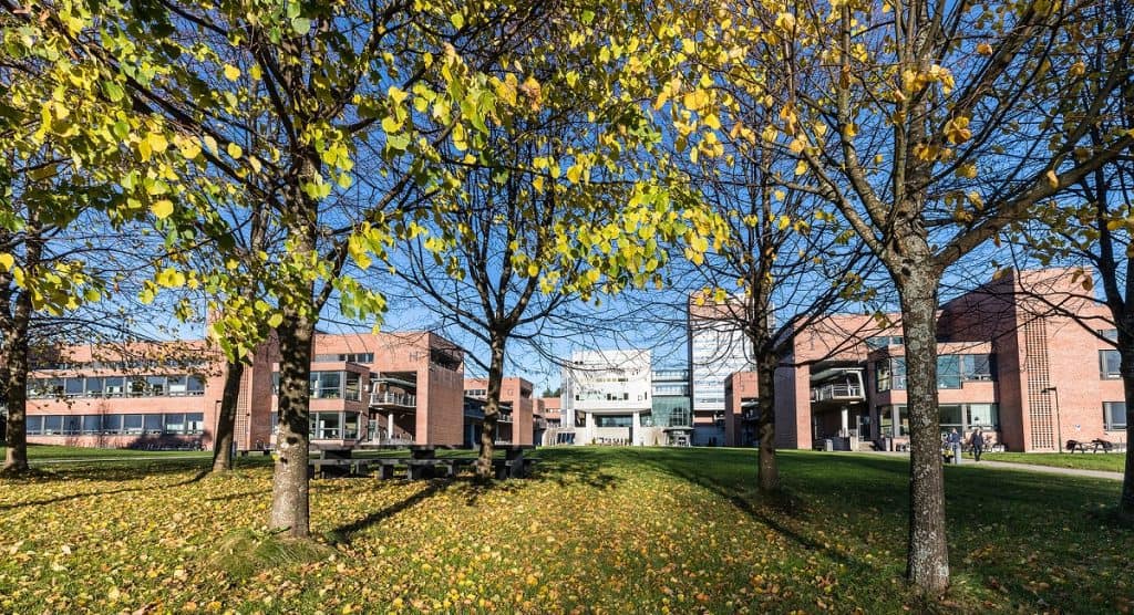 Universidad de Kristiansand