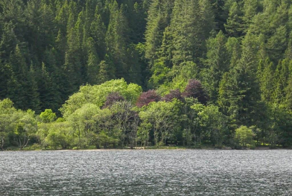 Kyles of Bute