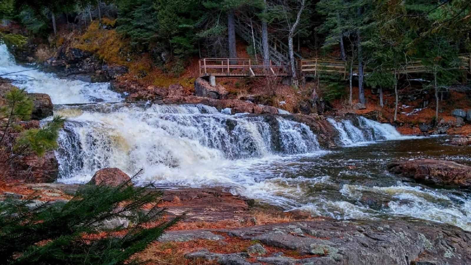 École forestière de La Tuque – Formation professionnelle