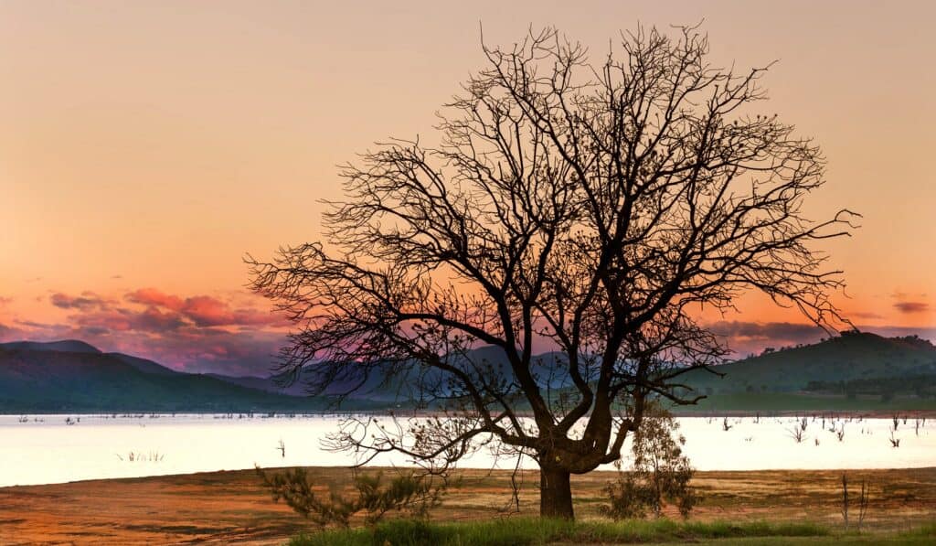 Lago Hume