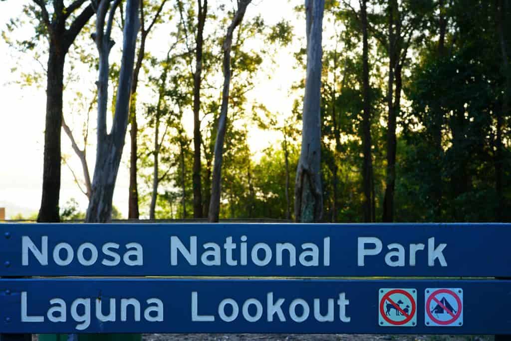 Laguna Lookout, Sunshine Coast 