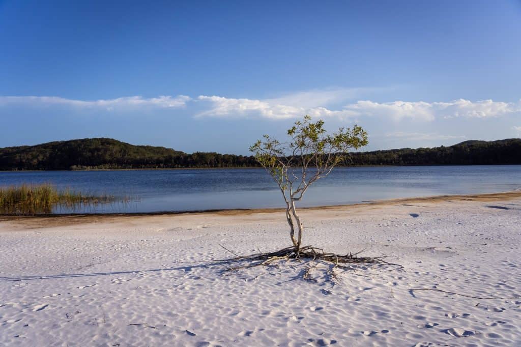 Lago Birrabeen