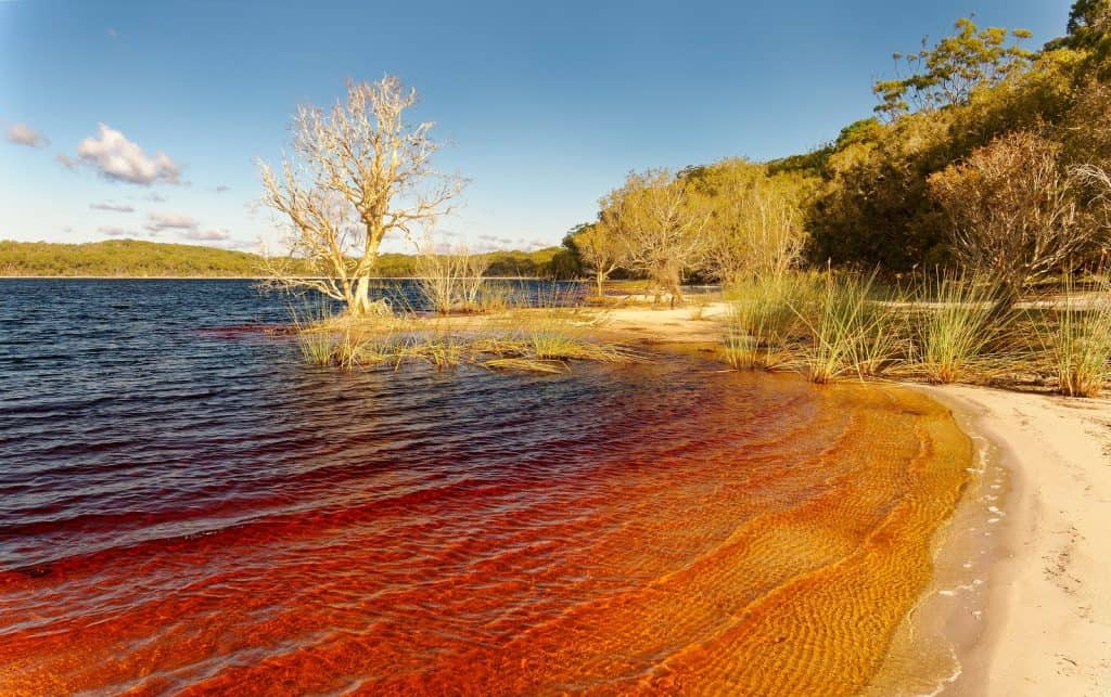 Lake Boomanjin