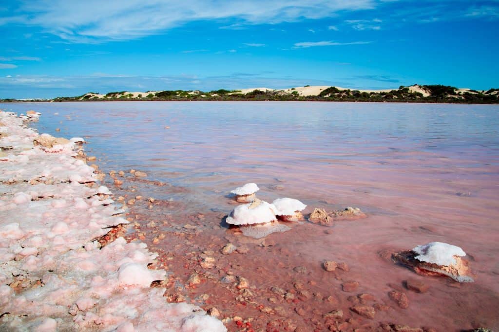 Lake Macdonnell