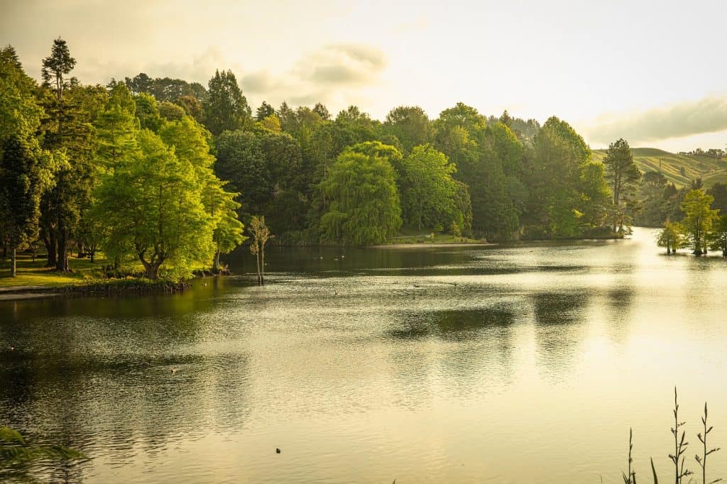 Lago McLaren