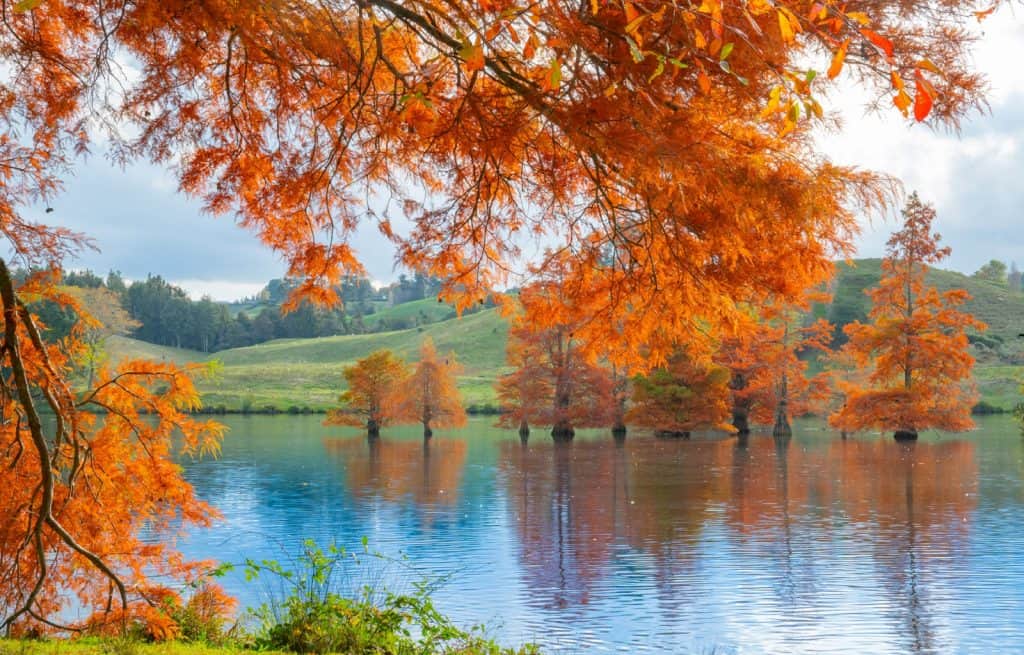 Lago McLaren