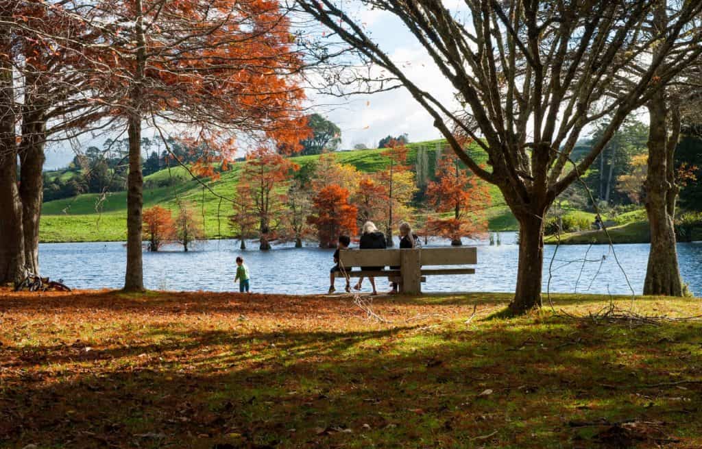 Lago McLaren
