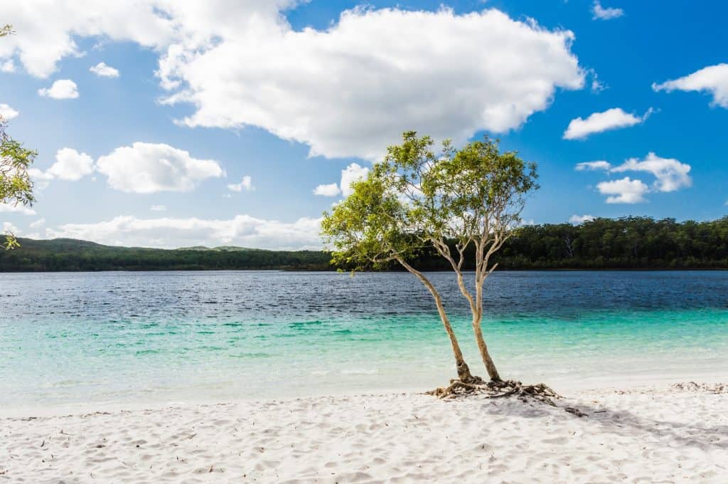 Lago McKenzie