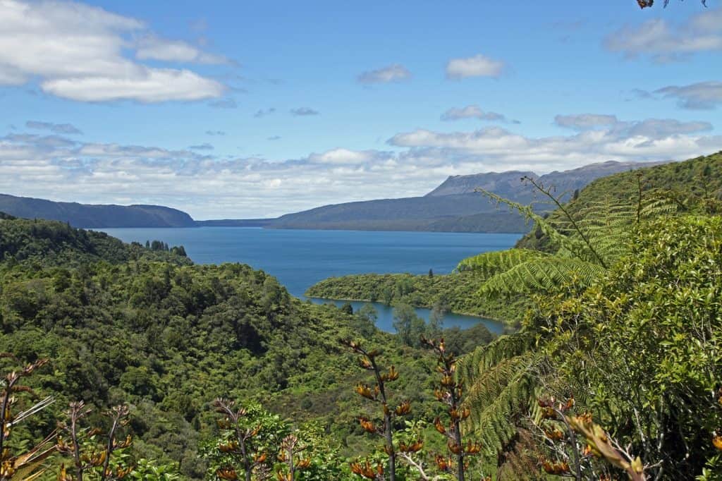 Lake Rotorua