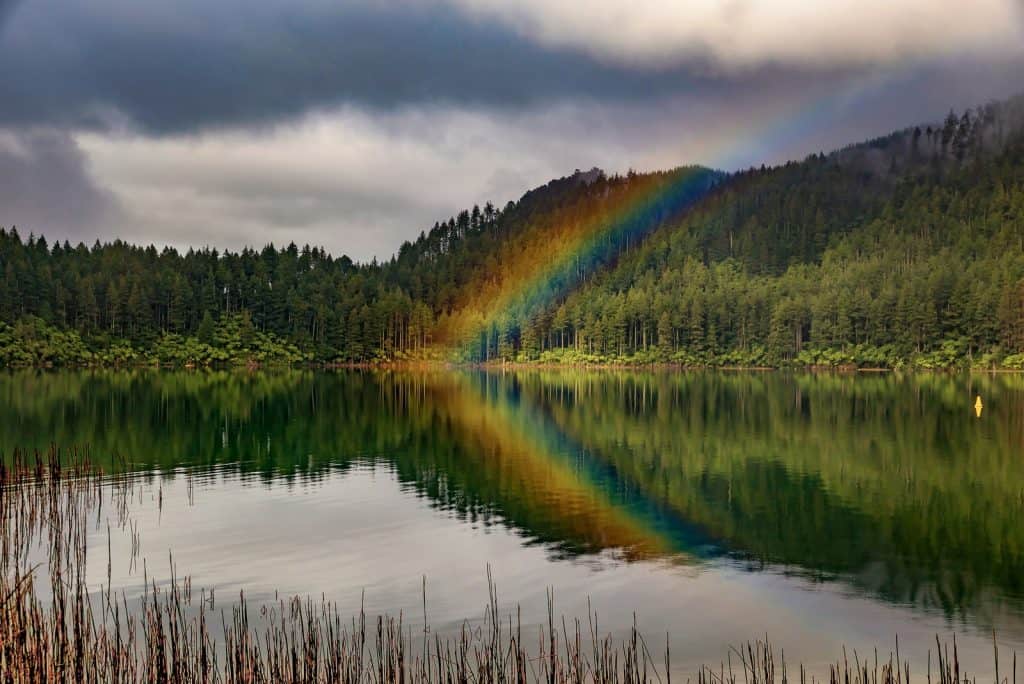 Lake Tarawera