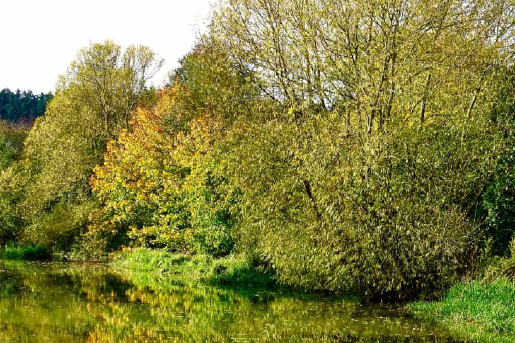 Parque Rural de Rushmere
