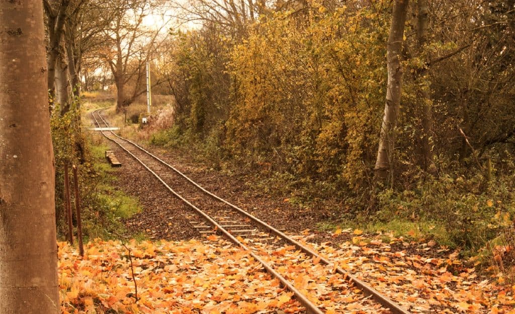 Ferrocarril Leighton Buzzard