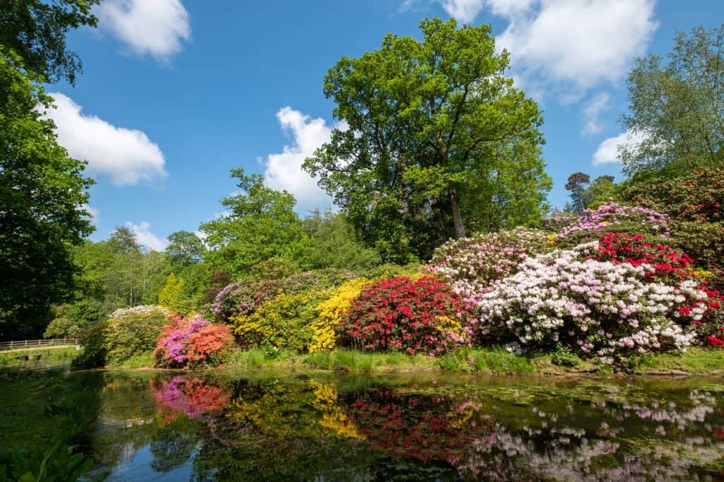 Leonardslee Lakes & Gardens
