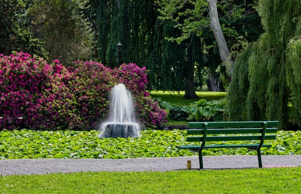 Parque Lily Hill