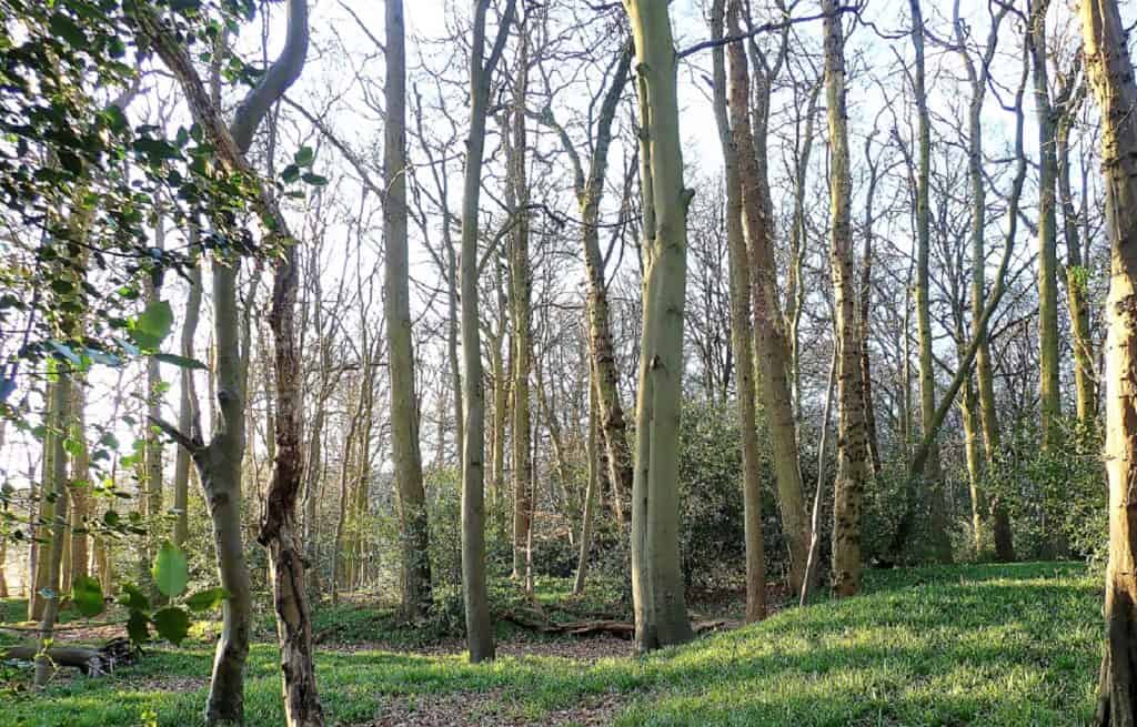 Parque Natural de Little Chalfont