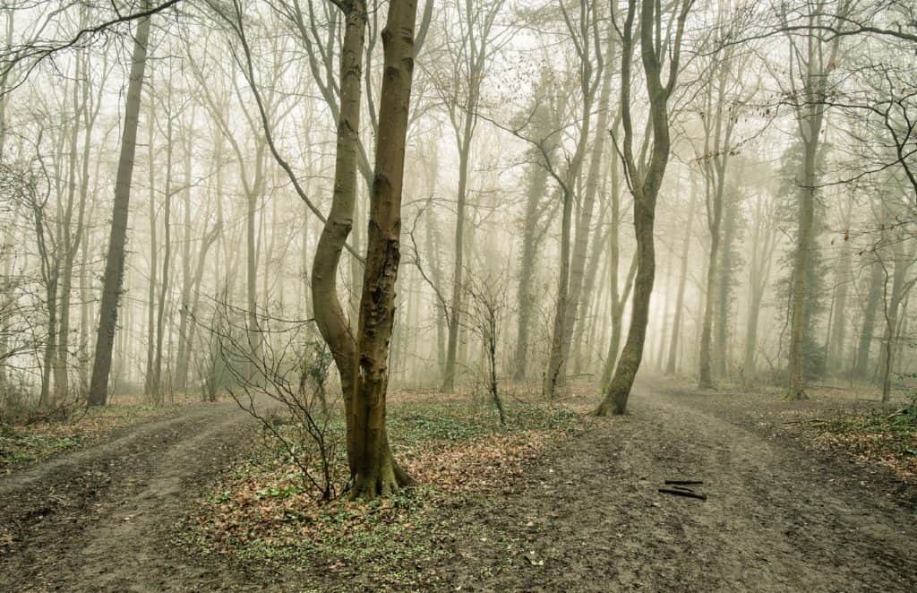 Parque Natural de Little Chalfont