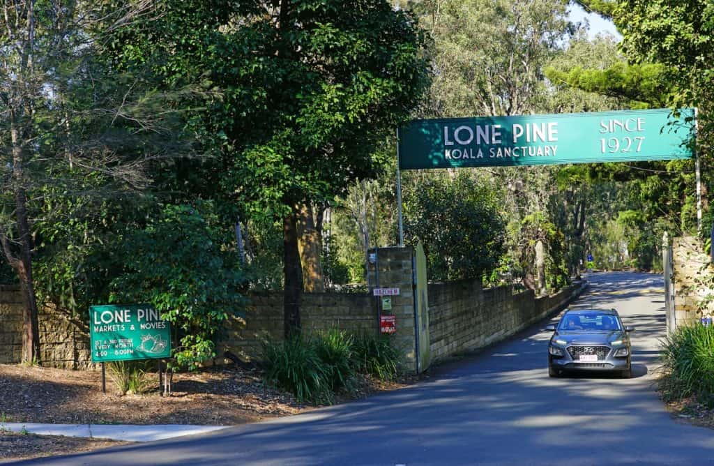 Lone Pine Koala Sanctuary