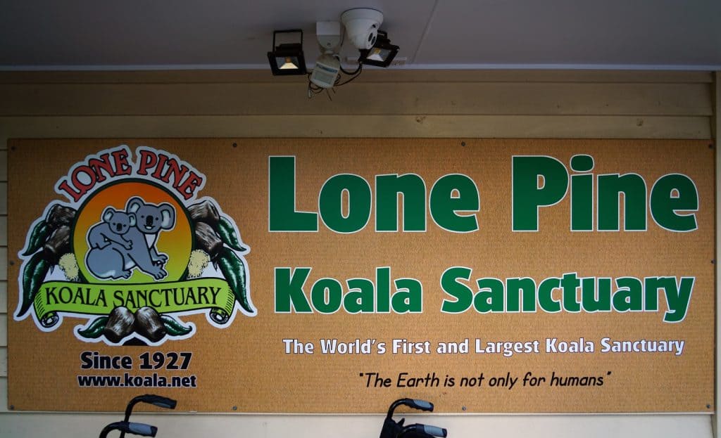 Lone Pine Koala Sanctuary