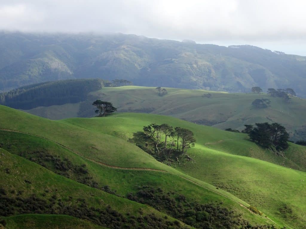 Lower Hutt