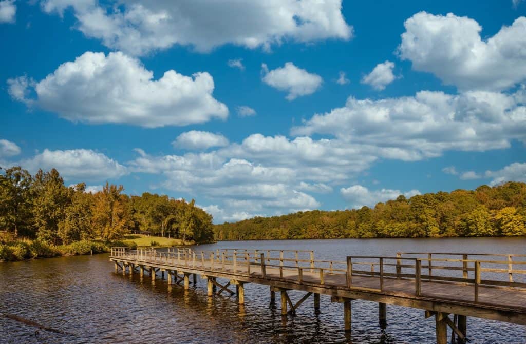 Lowndes Park