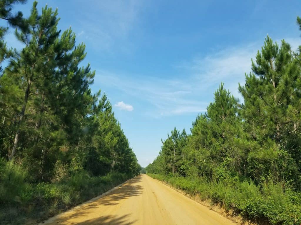 Lowndes Park