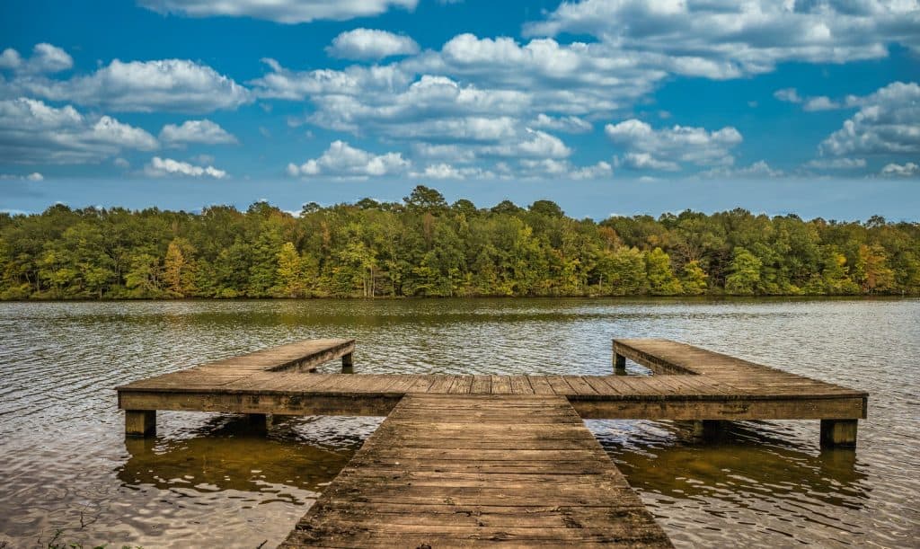 Lowndes Park