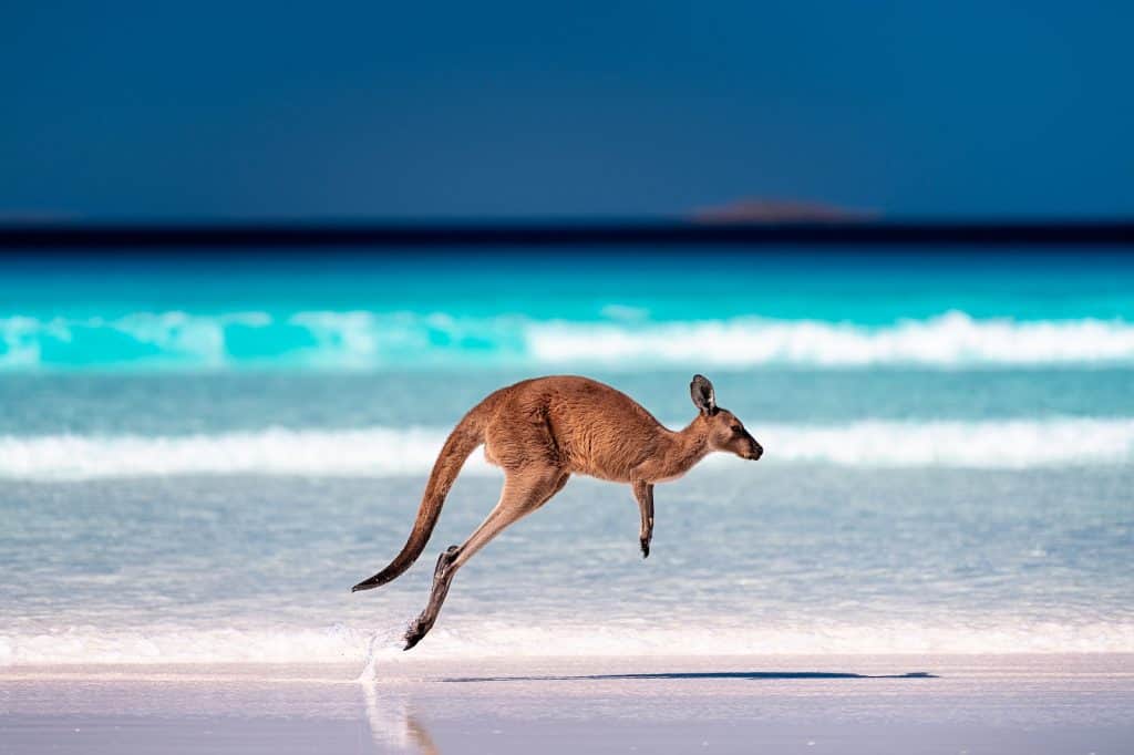 Lucky Bay